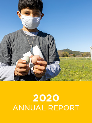 2020-2021 Annual Report by USFMuma - Issuu