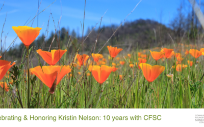 Celebrating & Honoring Kristin Nelson