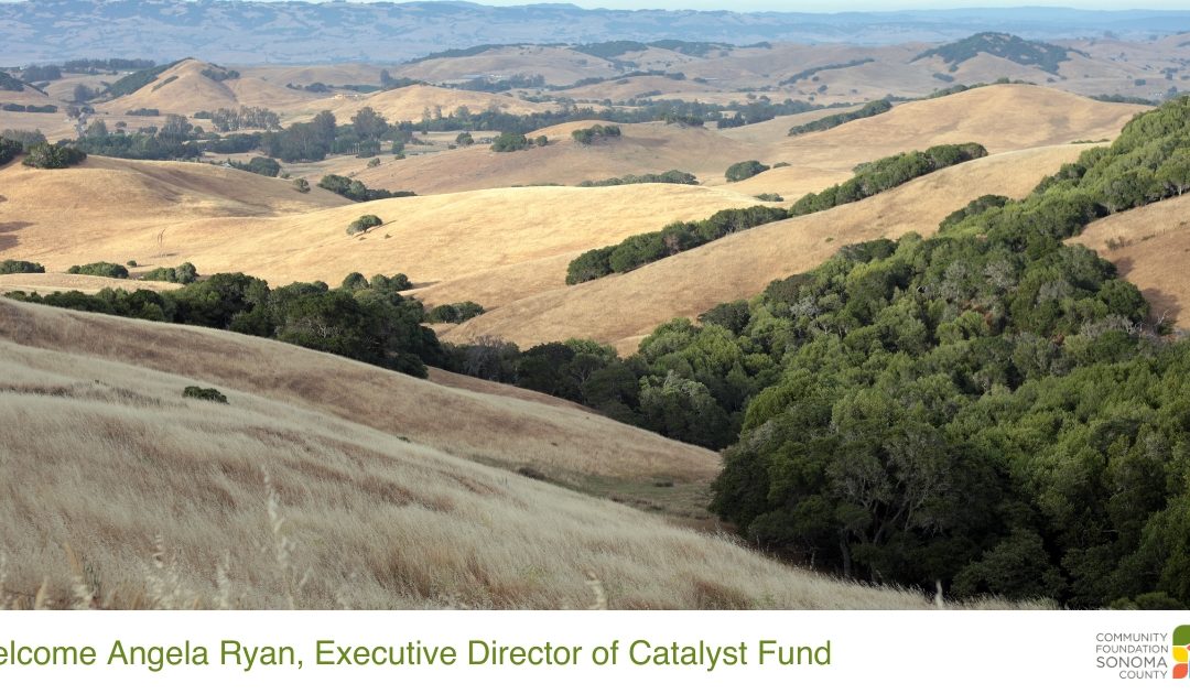 Welcome Angela Ryan, Executive Director of Catalyst Fund