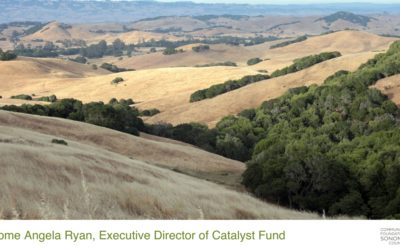 Welcome Angela Ryan, Executive Director of Catalyst Fund