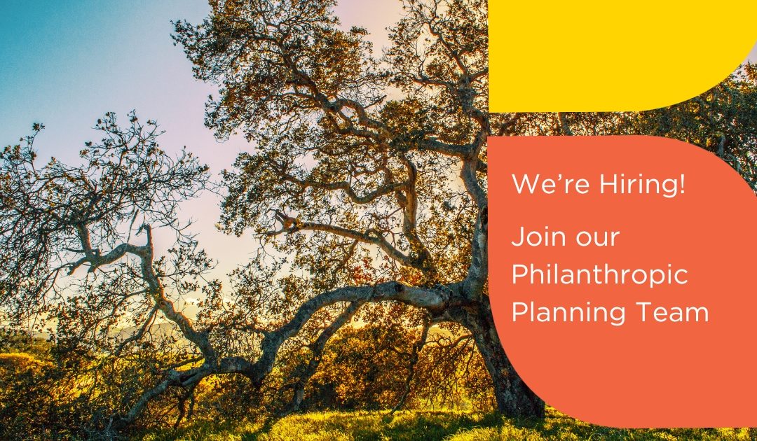 We’re Hiring: Philanthropy Assistant